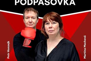 Neuvěřitelné překrucování reality a urážky prezidenta. Máme detaily vládního podání k Ústavnímu soudu - Podpásovka | Seznam Podcasty